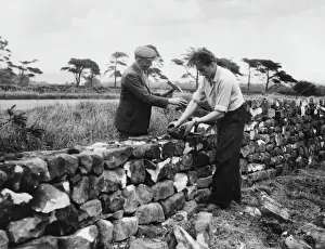 Prints of Building a dry-stone wall in Yorkshire. The stones are sorted and graded for foundations, ties and courses which all fit together like a jigsaw Related Prints: Yorkshire Dry Stone Walling Print