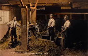 Historical Hop Cultivation Prints: Drying Hops 1906