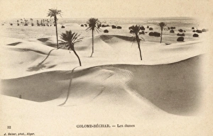 The dunes at Colomb-Bechar - Algeria The dunes at Colomb-Bechar - Algeria