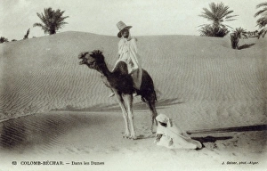 In the Dunes - Columb-Bechar, Algeria In the Dunes - Columb-Bechar, Algeria