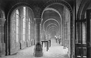 East Gallery 1st floor, Natural History Museum East Gallery 1st floor, Natural History Museum