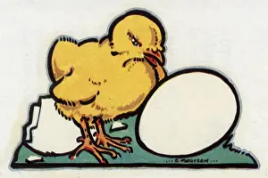 Easter Card Design Prints: Easter Card design, chick hatched from an egg