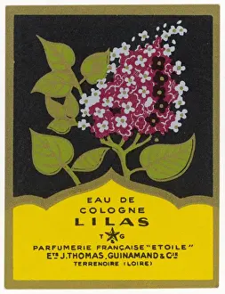 Eau De Cologne Lilas Print