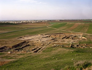 Ebla. III milllennium BC. Panorama. Syria Ebla. III milllennium BC. Panorama. Syria