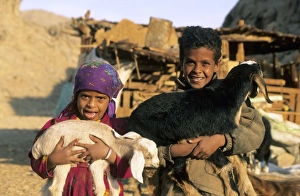 Egypt - Bedouin children cuddle goats Egypt - Bedouin children cuddle goats