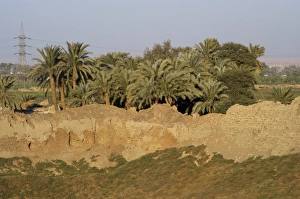Egypt. Landscape outside Dendera Temple Egypt. Landscape outside Dendera Temple