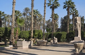 Egypt. Memphis. Mit Rahina Open Air Museum with statue - Pha Egypt. Memphis. Mit Rahina Open Air Museum with statue - Pha