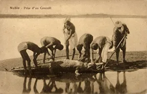 Egypt - River Nile - Capturing a crocodile Egypt - River Nile - Capturing a crocodile