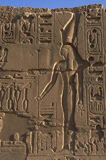 Egyptian Art. Karnak. The goddess Wadjet. Relief Egyptian Art. Karnak. The goddess Wadjet. Relief