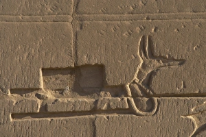 Egyptian Art. Karnak. Relief with a jackal Egyptian Art. Karnak. Relief with a jackal