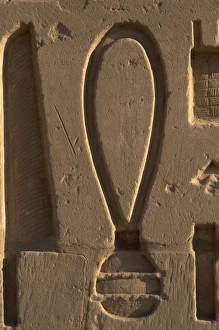Egyptian Art. Karnak. Sa protective symbol. Relief Egyptian Art. Karnak. Sa protective symbol. Relief