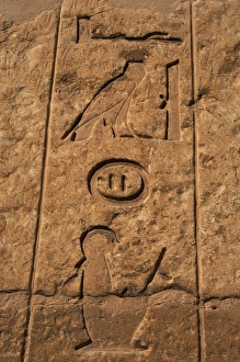 Egyptian Art. Necropolis of Saqqara. Hieroglyphs in a mastab Egyptian Art. Necropolis of Saqqara. Hieroglyphs in a mastab