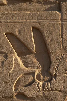 Egyptian Art. Relief depicting a bee, symbol of Lower Egypt Egyptian Art. Relief depicting a bee, symbol of Lower Egypt