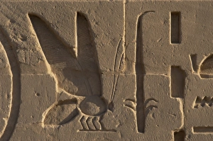 Egyptian Art. Relief depicting a bee and a rush symbols of L Egyptian Art. Relief depicting a bee and a rush symbols of L