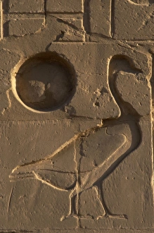 Egyptian Art. Relief depicting a goose next to the sun. Karn Egyptian Art. Relief depicting a goose next to the sun. Karn