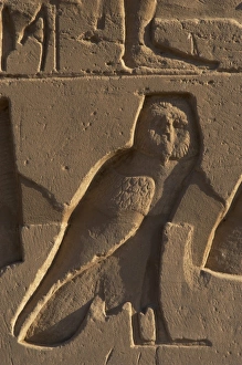 Egyptian Art. Relief depicting an owl. Karnak Egyptian Art. Relief depicting an owl. Karnak