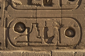 Egyptian Art. Royal protocol of Ramesses II. Cartridge Egyptian Art. Royal protocol of Ramesses II. Cartridge