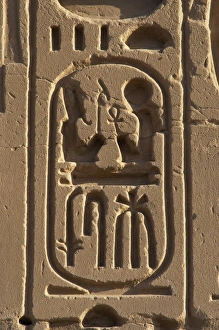 Egyptian Art. Royal protocol of Ramses II. Cartridge Egyptian Art. Royal protocol of Ramses II. Cartridge