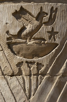 Egyptian Art. Temple of Kom Ombo. Bird. Relief Egyptian Art. Temple of Kom Ombo. Bird. Relief