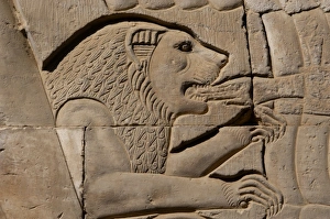 Egyptian Art. Temple of Kom Ombo. Lion eating a hand, Relief Egyptian Art. Temple of Kom Ombo. Lion eating a hand, Relief