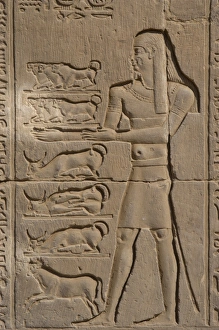 Egyptian Art. Temple of Kom Ombo. Offerer. Relief Egyptian Art. Temple of Kom Ombo. Offerer. Relief