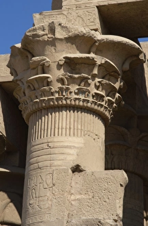 Egyptian Art. Temple of Kom Ombo. Papyrus column Egyptian Art. Temple of Kom Ombo. Papyrus column