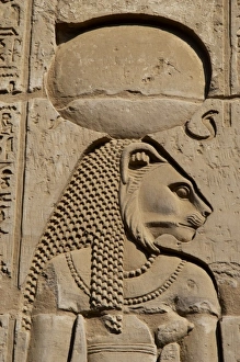Egyptian Art. Temple of Kom Ombo. Sekhmet, the lion-headed g Egyptian Art. Temple of Kom Ombo. Sekhmet, the lion-headed g