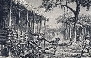 Nineteenth Century Animal Art Prints: Ejecting an intruder