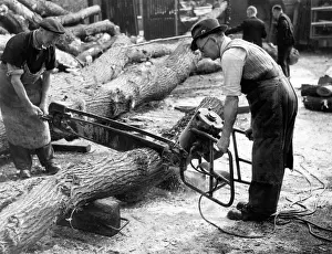 Electric Chainsaw Print: Two men with an electric chainsaw