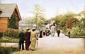 An elephant taking people for a ride at London Zoo An elephant taking people for a ride at London Zoo