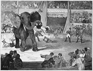 Prints of During a performance by the Circus Lorch, at Linz (Austria), the elephant, teased by the clowns, turns on them impatiently. Good on you, Jumbo Linz Prints: Elephant Turns on Clowns Print