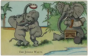 Vintage Elephant Illustrations Prints: Elephants Dancing
