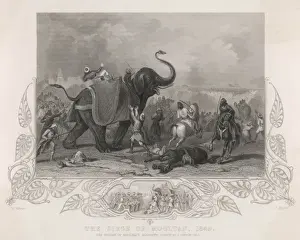 Elephant Print from the Siege of Mooltan