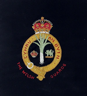 Embroidered badge of the Welsh Guards Embroidered badge of the Welsh Guards