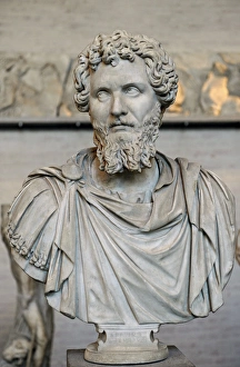 Emperor Septemus Severus (193-211 AD). Bust Emperor Septemus Severus (193-211 AD). Bust