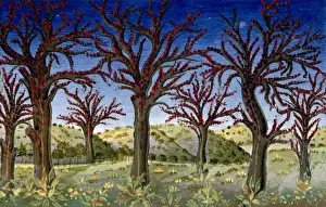 Codex Predis Artwork Prints: The end of the world and the Last Judgement. Codex of Predi