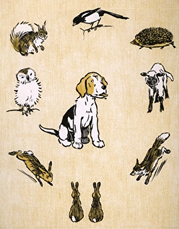 Endpaper design by Cecil Aldin, Field Babies Endpaper design by Cecil Aldin, Field Babies