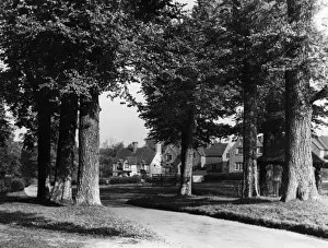 Buckinghamshire England Prints: England / Chenies
