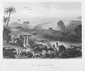 Bible Story Illustrations Online Prints: Entry into the ark
