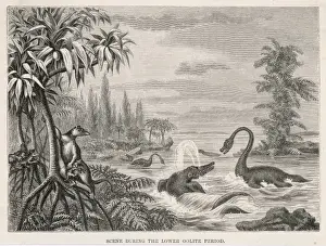 Extinct Sea Creatures Prints: Extinct Plesiosaur