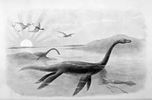 Dinosaur Fossil Discovery Prints: Extinct / Plesiosaurus