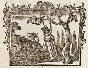 Historical Garden Scene Prints: Fable / the Two Bees