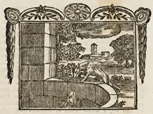 Prints of THE FOX AND THE GOAT A fox and goat, feeling very thirsty, jump into a well to drink; unable to escape, the fox suggests he climb upon the goat, only to then run off Aesop Prints: The Fox and the Goat Print by Fable