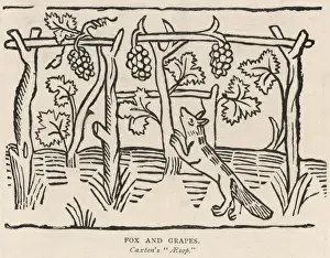 Prints of THE FOX AND THE GRAPES The fox spies juicy ripe grapes and tries to reach them but in vain; eventually he gives up, proclaiming the grapes to be probably sour Aesop Prints: The Fox and the Grapes Print: A Fable of Sour Disappointment