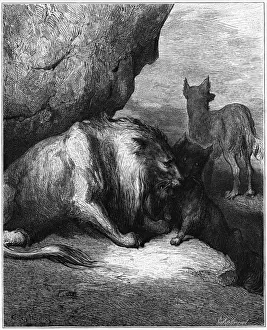 Prints of THE LION, THE WOLF AND THE FOX: An old lion, wishing to find a cure, summons his animals. The wolf slanders the fox, but finds he comes off worst in the end Aesop Prints: The Lion, the Wolf and the Fox Print: A Fable of Deception
