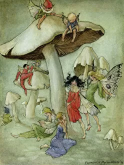 Mushroom Collection: Fairies and toadstools