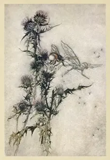 Fairy and Bee Print: A Fairy Teases a Bee