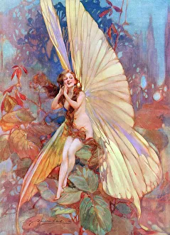 The Fairy of Flight by William Barribal The Fairy of Flight by William Barribal