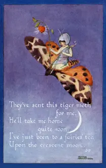 Historical Children's Book Art Prints: Fairy on a moth