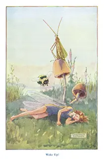 Fairyland Sleeping Fairy Awakened Print, 1918